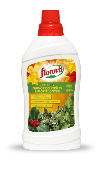 FLOROVIT Для вечнозеленых осеннее ( Самшит, Лаурабилия, Лаванда, Красное дерево, Эвкалипт, Рододендрон, Вереск и др.) 1 л FLOROVIT Для вечнозеленых осеннее ( Самшит, Лаурабилия, Лаванда, Красное дерево, Эвкалипт, Рододендрон, Вереск и др.) 1 л